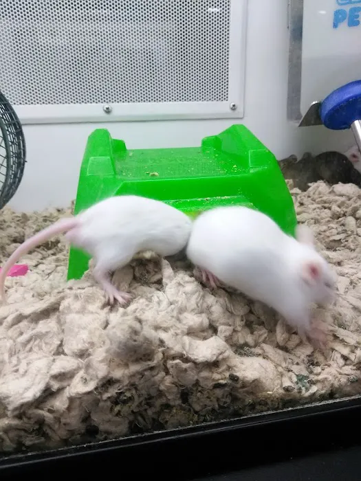 Petco Picture 10