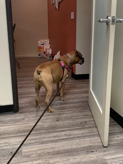 Oso Pet Care Center Picture 6