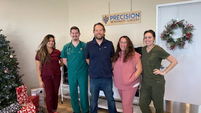 Precision Veterinary Surgery Picture 6