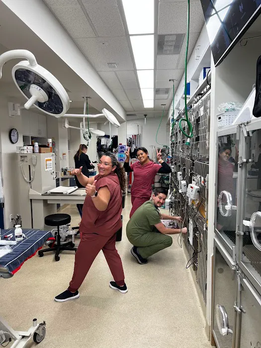 Precision Veterinary Surgery Picture 8