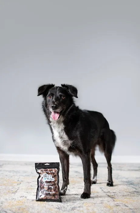 K9 Bites Picture 2
