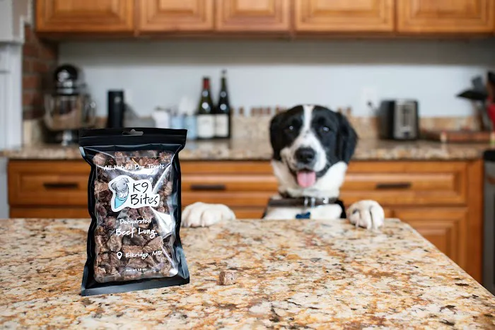 K9 Bites Picture 7