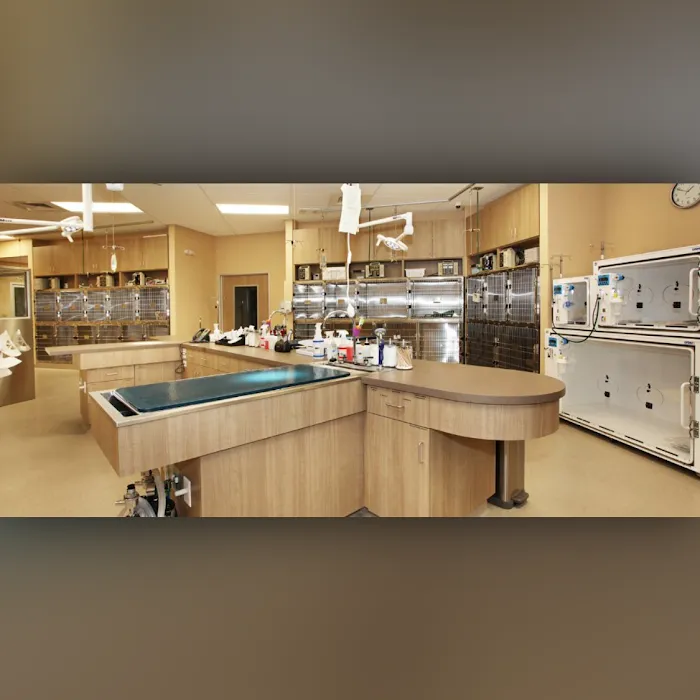 BrightCare Veterinary Group - Animal Neurology & Imaging Picture 8