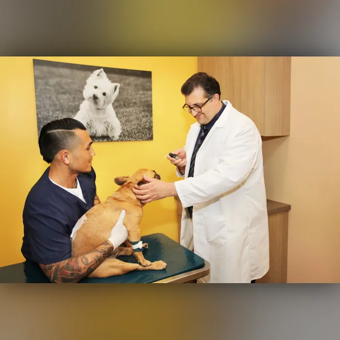 BrightCare Veterinary Group - Animal Neurology & Imaging Picture 10