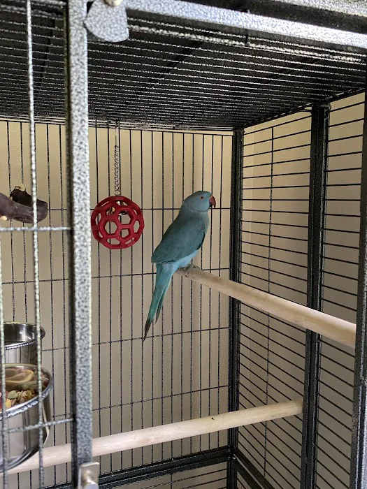 Maryland Exotic Birds Inc Picture 9