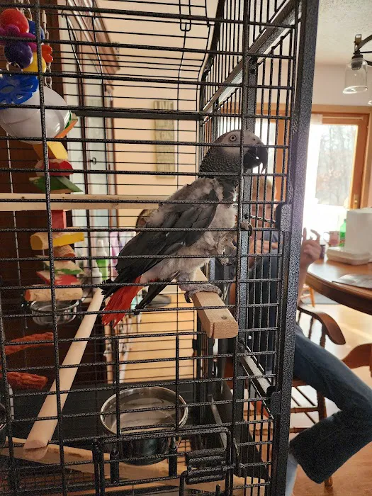 Maryland Exotic Birds Inc Picture 6