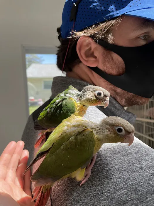 Maryland Exotic Birds Inc Picture 1