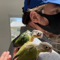 Maryland Exotic Birds Inc ico