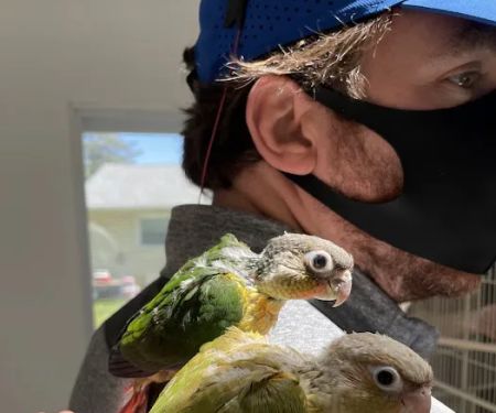 Maryland Exotic Birds Inc