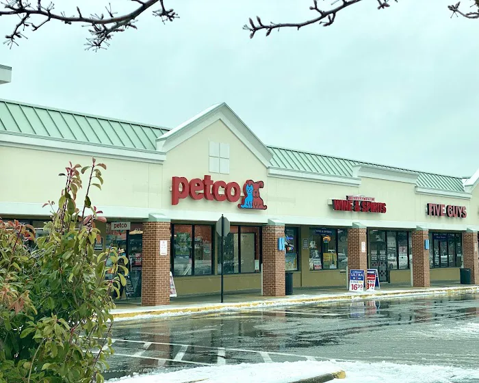 Petco Picture 9