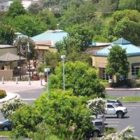 Animal Urgent Care of South Orange County ico