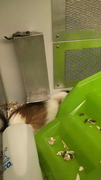Petco Picture 10