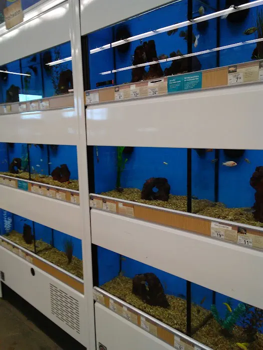 Petco Picture 4