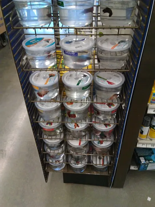 Petco Picture 8