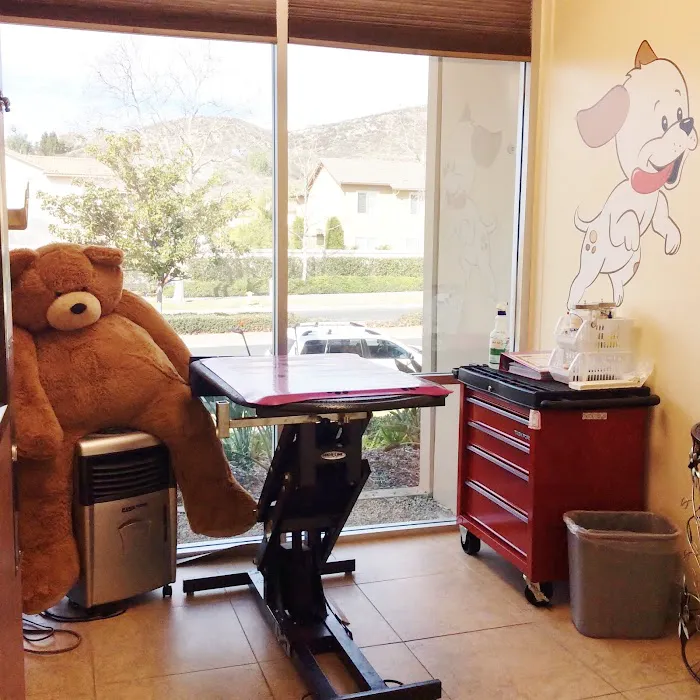 Banderas Pet Hospital & Boarding Picture 8