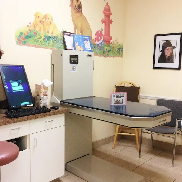 Banderas Pet Hospital & Boarding Picture 3