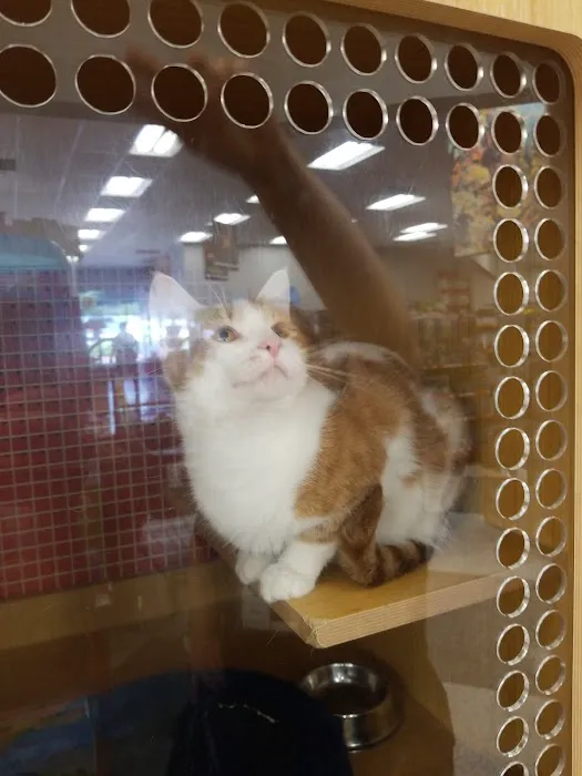 Petco Picture 6