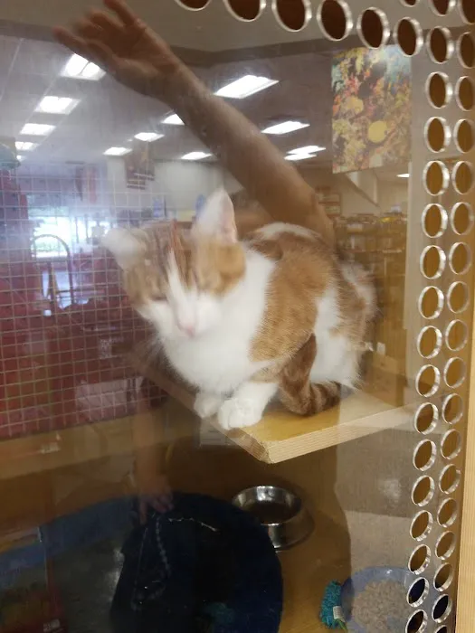 Petco Picture 7