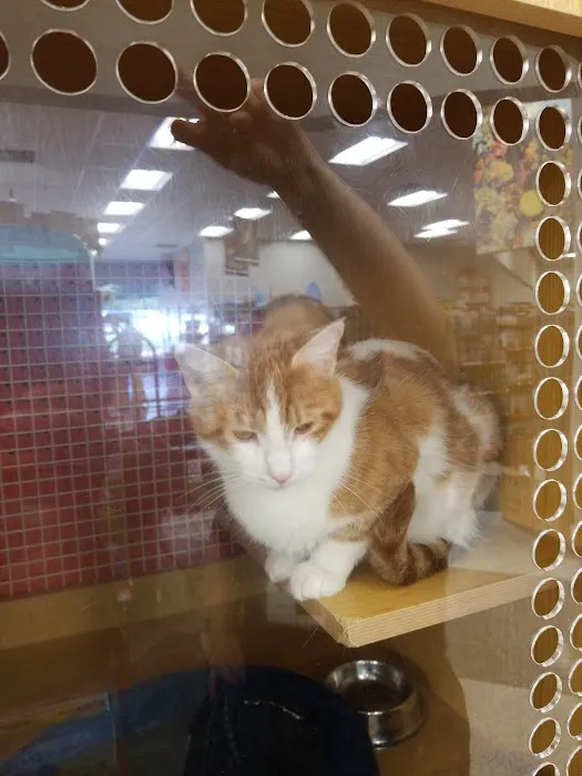 Petco Picture 3