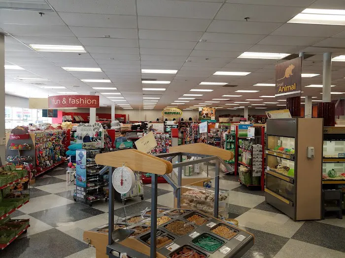 Petco Picture 9