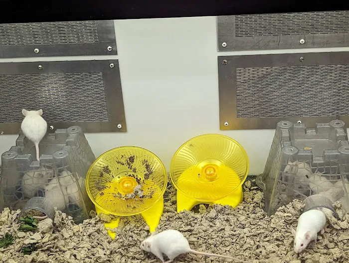 Petco Picture 1