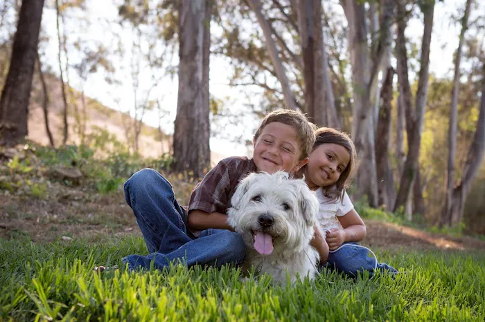 Rancho Viejo Animal Hospital Picture 4