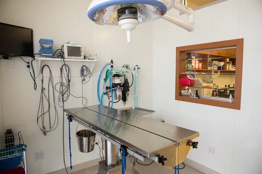 Rancho Viejo Animal Hospital Picture 8