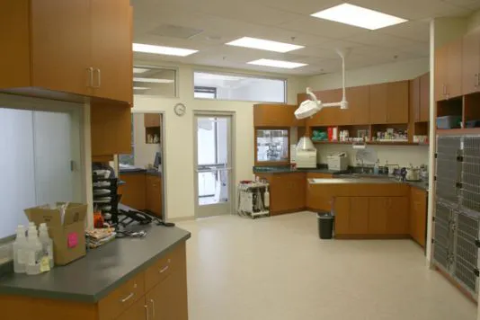 Rancho Viejo Animal Hospital Picture 7