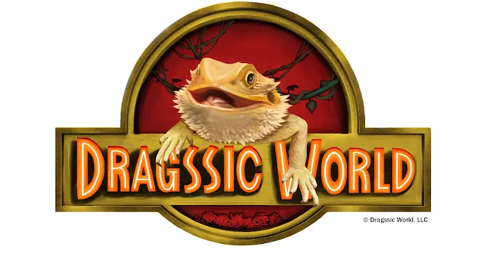Dragssic World Picture 10