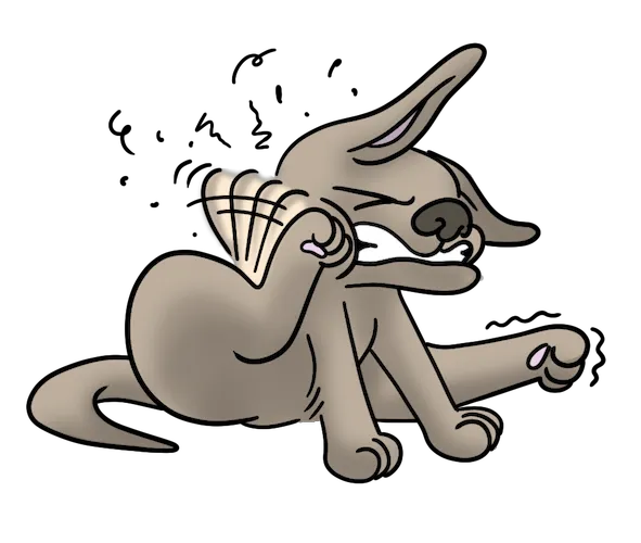 VetRelief.pet Picture 2