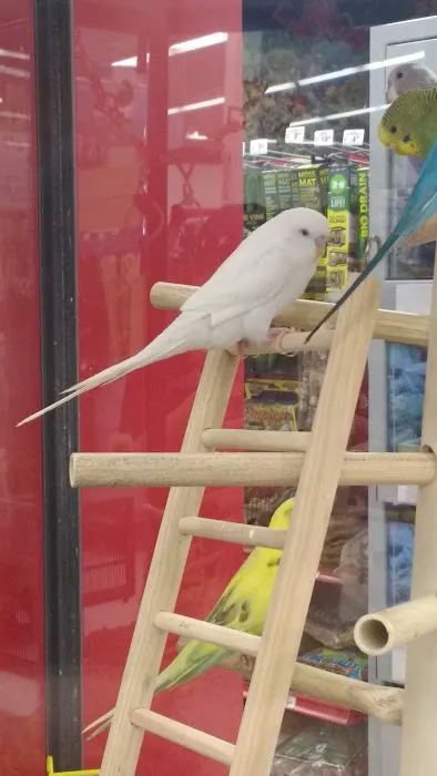 Petco Picture 1