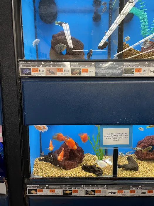 Petco Picture 7