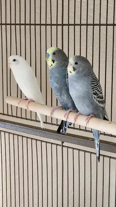 Petco Picture 3