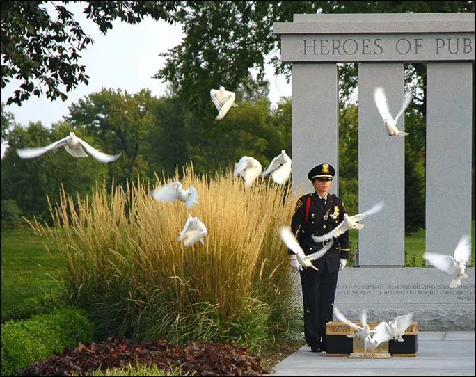 Memorable Moments Dove Release LLC Picture 3