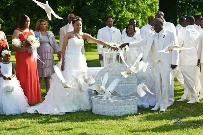 Memorable Moments Dove Release LLC Picture 5