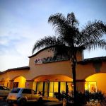 Veterinary Medical and Surgical Group - OC