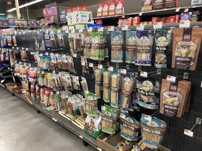 Petco Picture 7