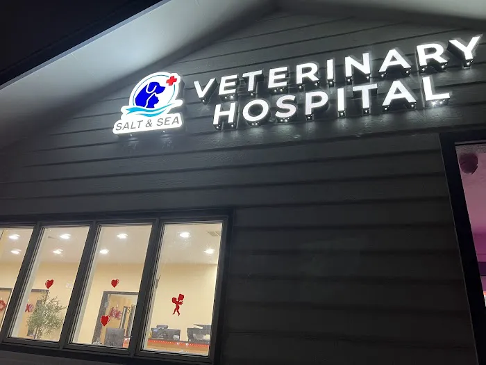 Salt & Sea Veterinary Hospital Picture 1