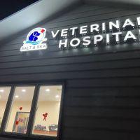 Salt & Sea Veterinary Hospital ico
