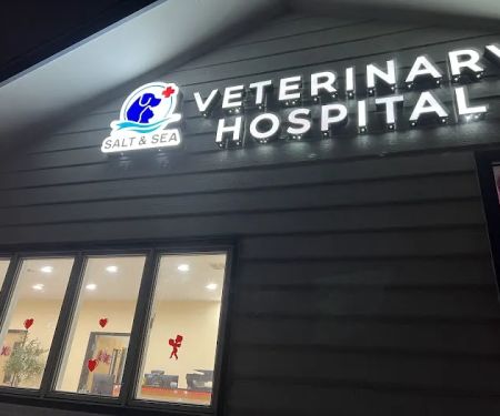 Salt & Sea Veterinary Hospital