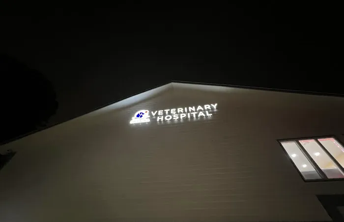 Salt & Sea Veterinary Hospital Picture 7