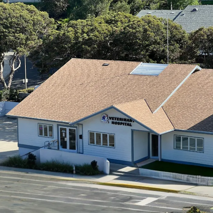 Salt & Sea Veterinary Hospital Picture 9