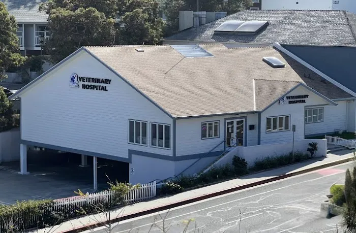 Salt & Sea Veterinary Hospital Picture 6