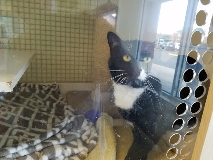 Petco Picture 7