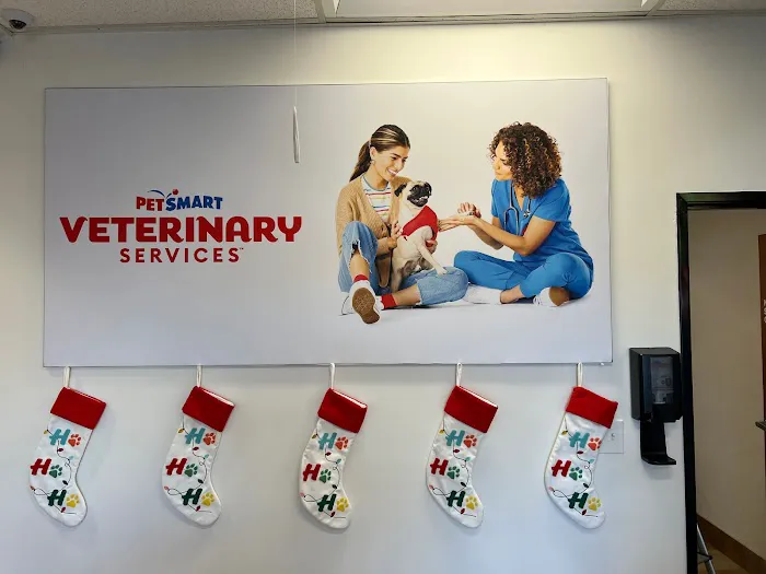 PetSmart Veterinary Services - San Juan Capistrano Picture 7
