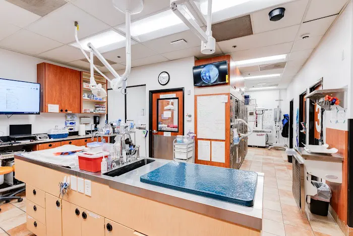 PetSmart Veterinary Services - San Juan Capistrano Picture 1