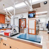 PetSmart Veterinary Services - San Juan Capistrano ico