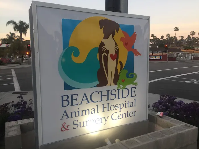 Beachside Animal Hospital and Surgery Centre Picture 3