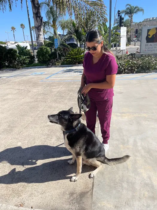 Beachside Animal Hospital and Surgery Centre Picture 8