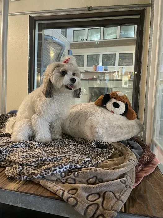 Ortega Animal Care Center Picture 8